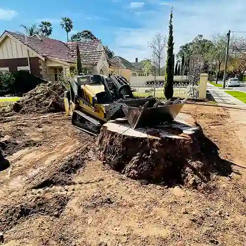 All Purpose Tree Services job photo 3