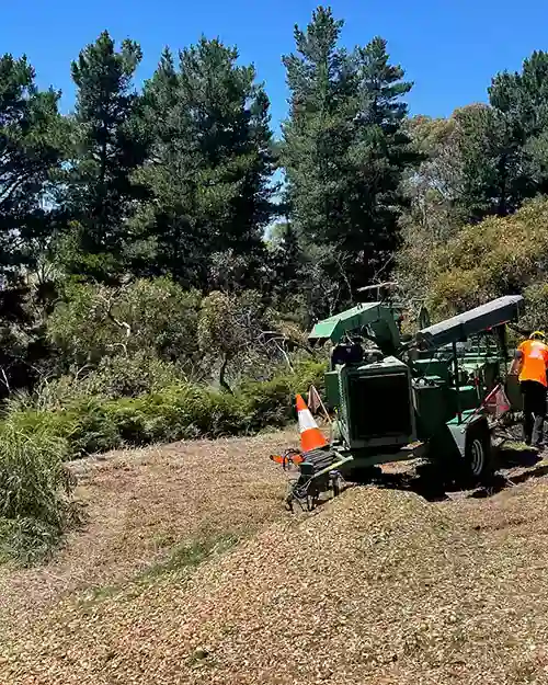 All Purpose Tree Services job photo 7