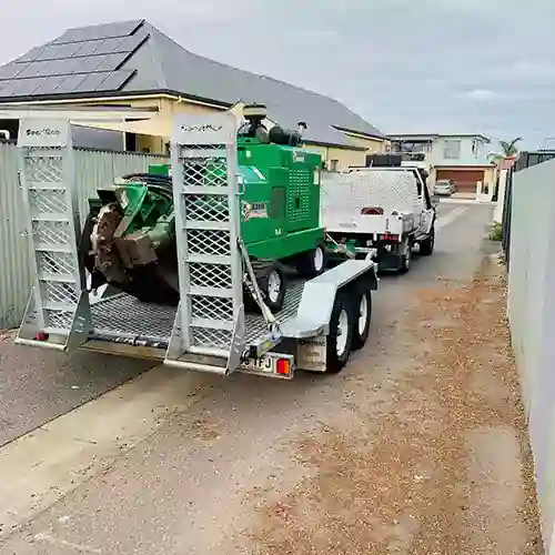 All Purpose Tree Services job photo 8